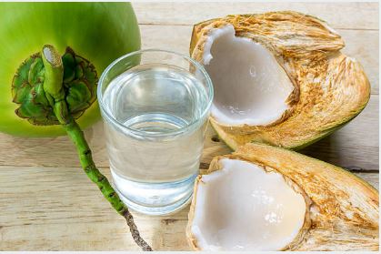 The Growing Demand for Coconut-Based Products: What Makes Them a Global Favorite