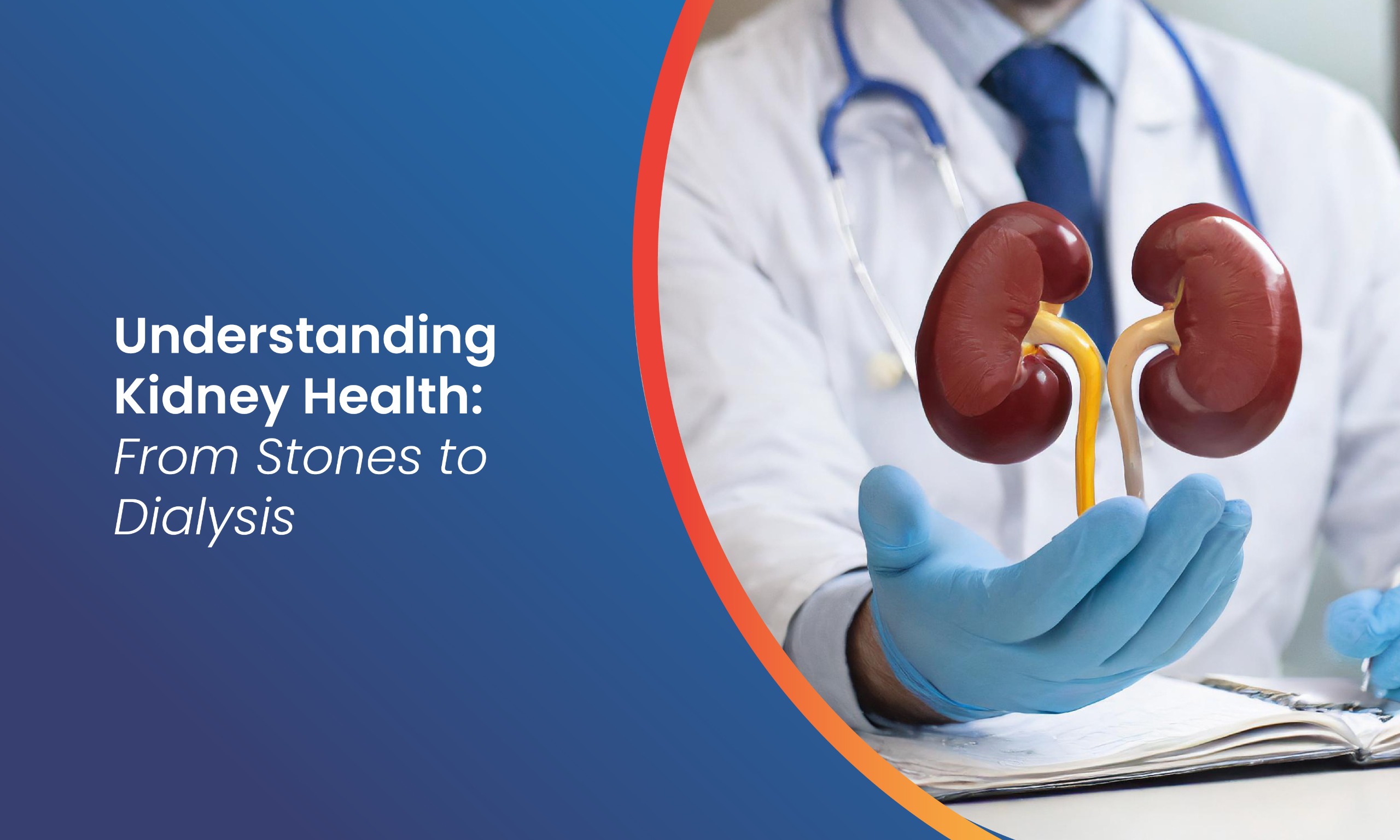 A Guide to Kidney Health