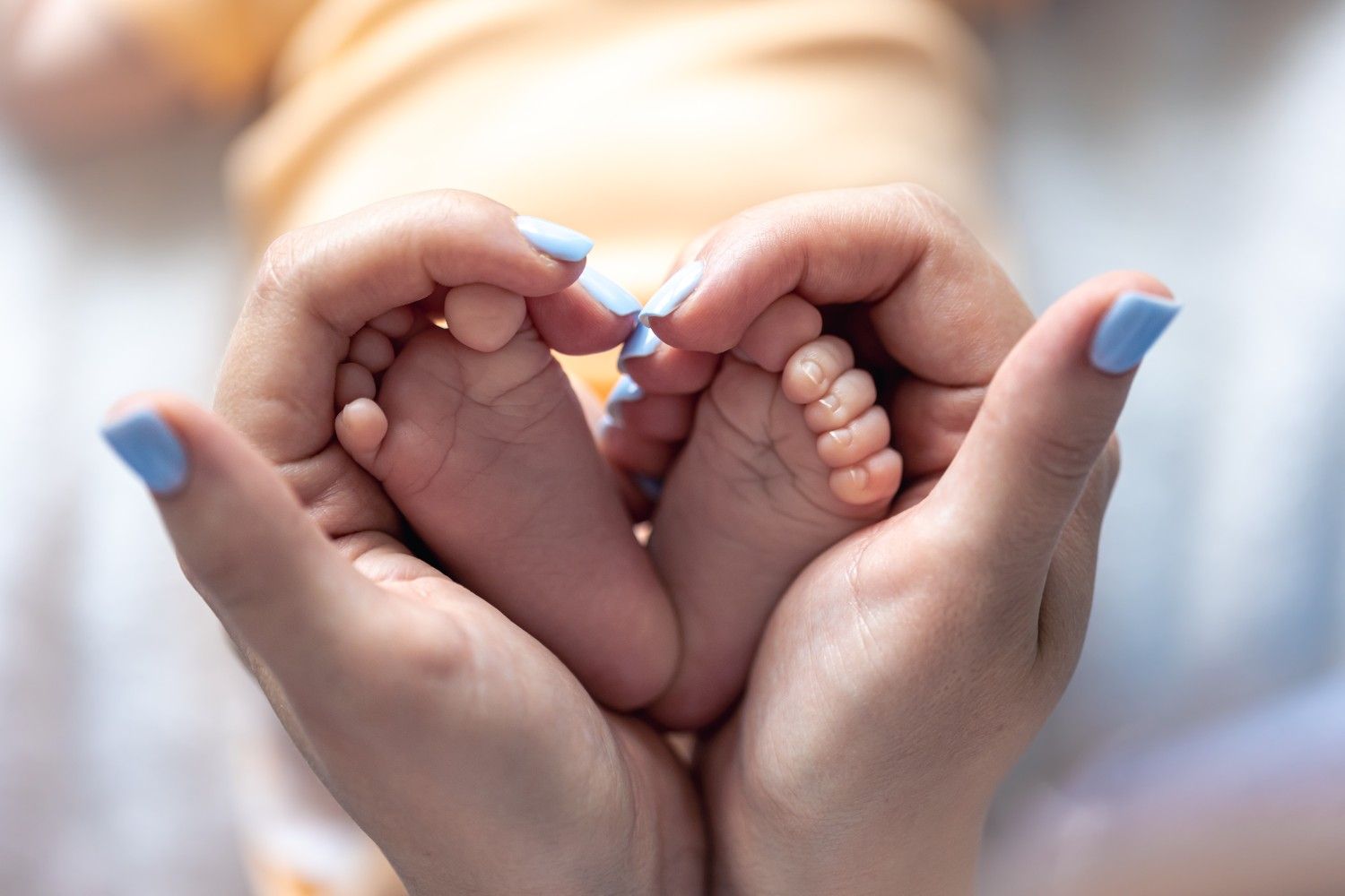 In Vitro Fertilisation IVF
