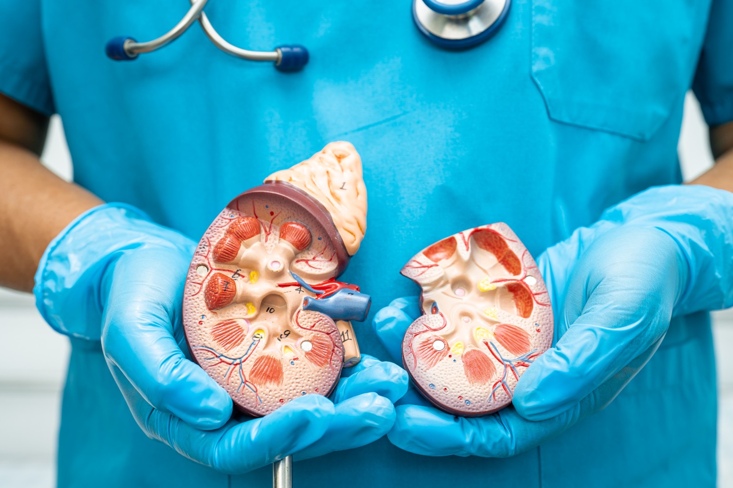 Onco Nephrology