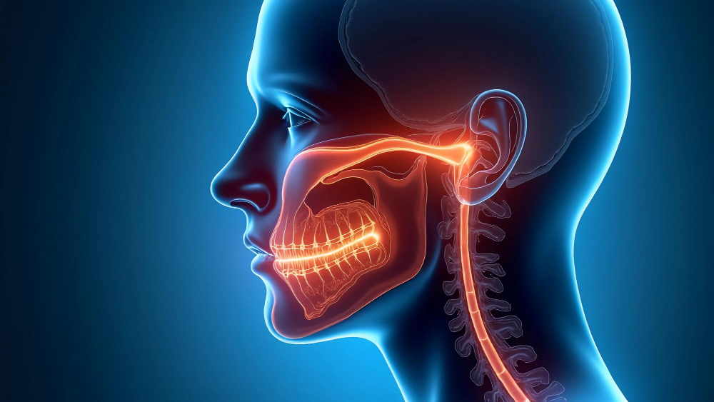 Orthognathic and Cranio-Maxillofacial Deformity