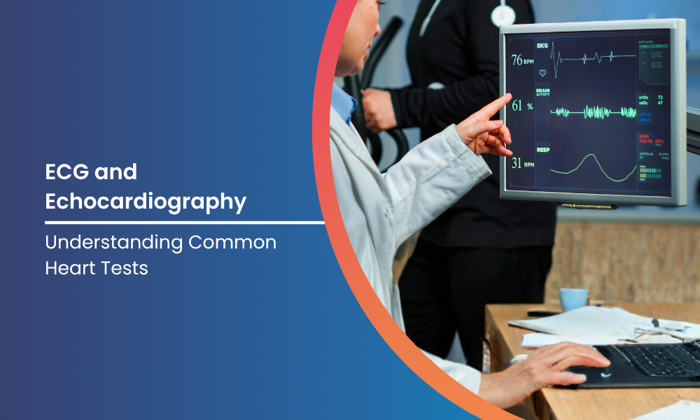 ECG and Echocardiography Common Heart Tests Explained