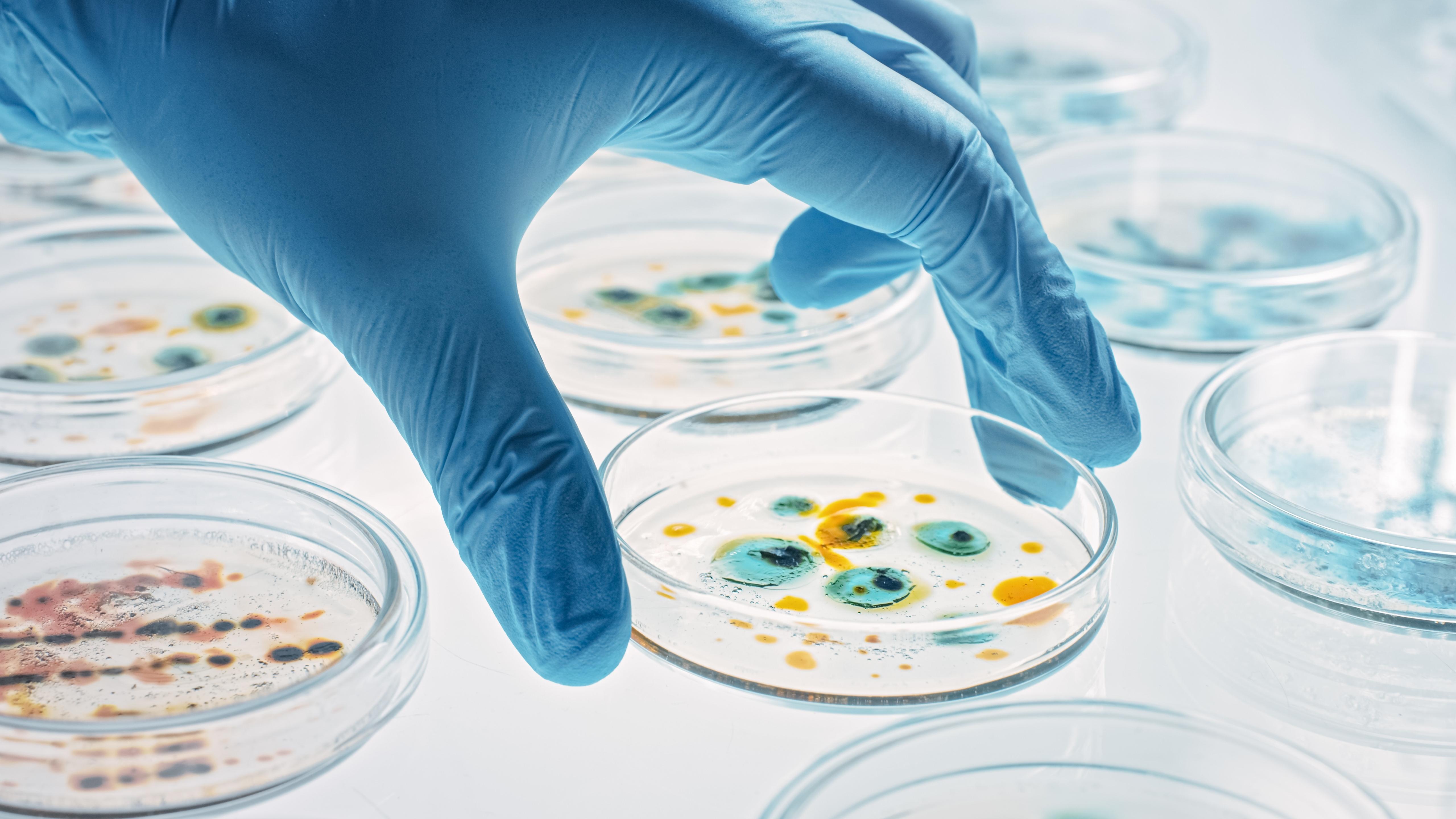 Bacteriology