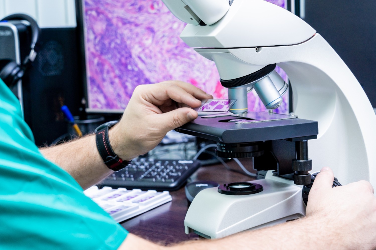Histopathology