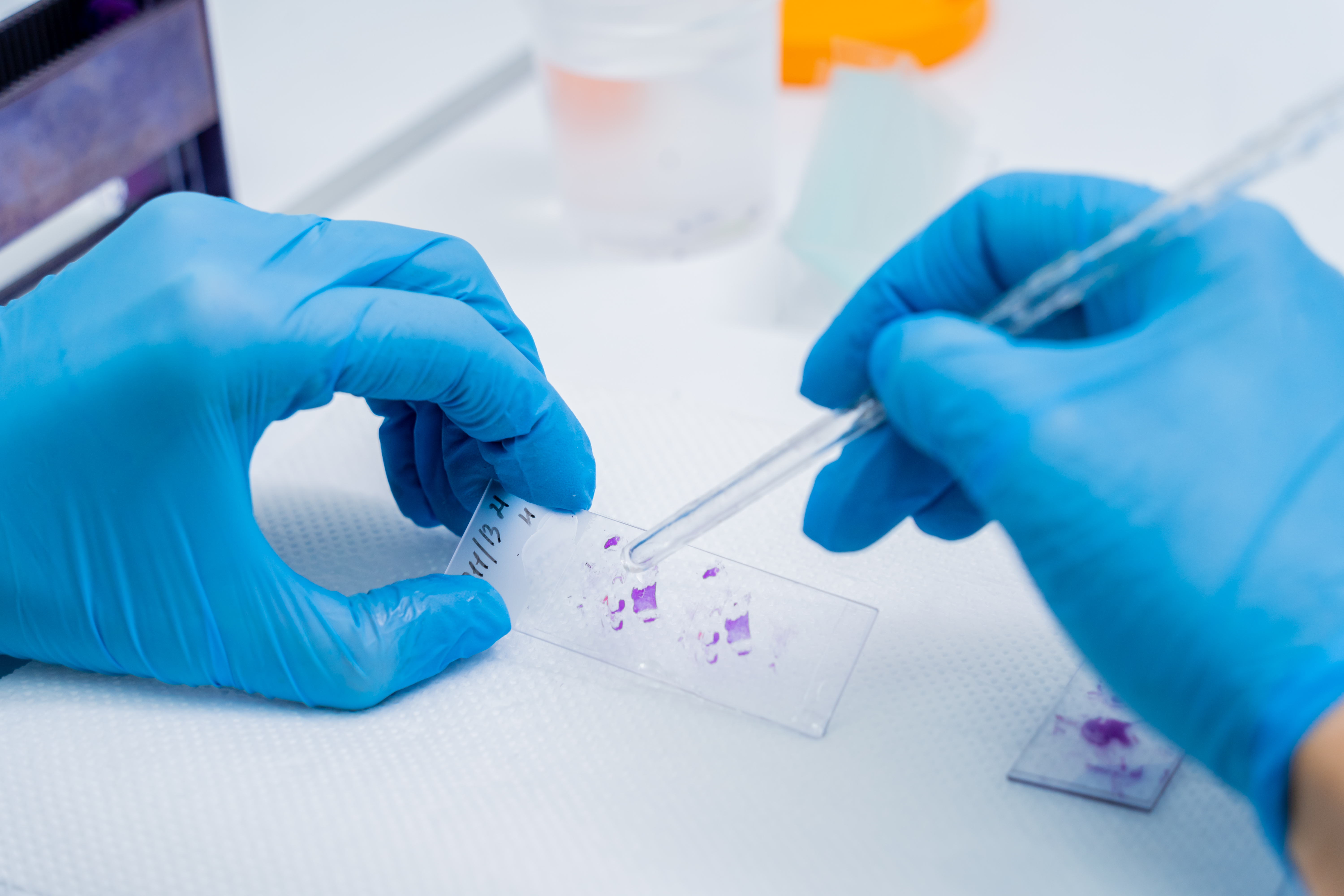 Molecular Pathology