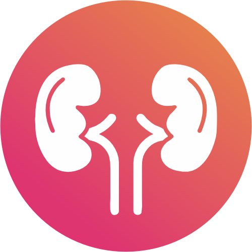 Institute of Nephrology