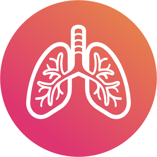 Institute of Respiratory Medicine